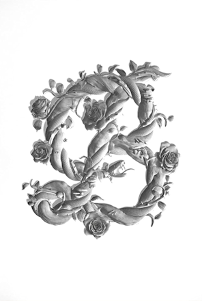 Beauty book cover by Phaidon Press